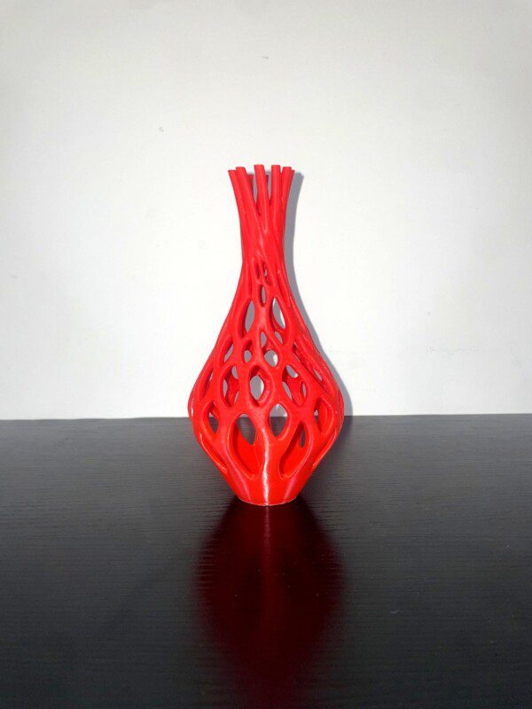 Red Fringe Vase